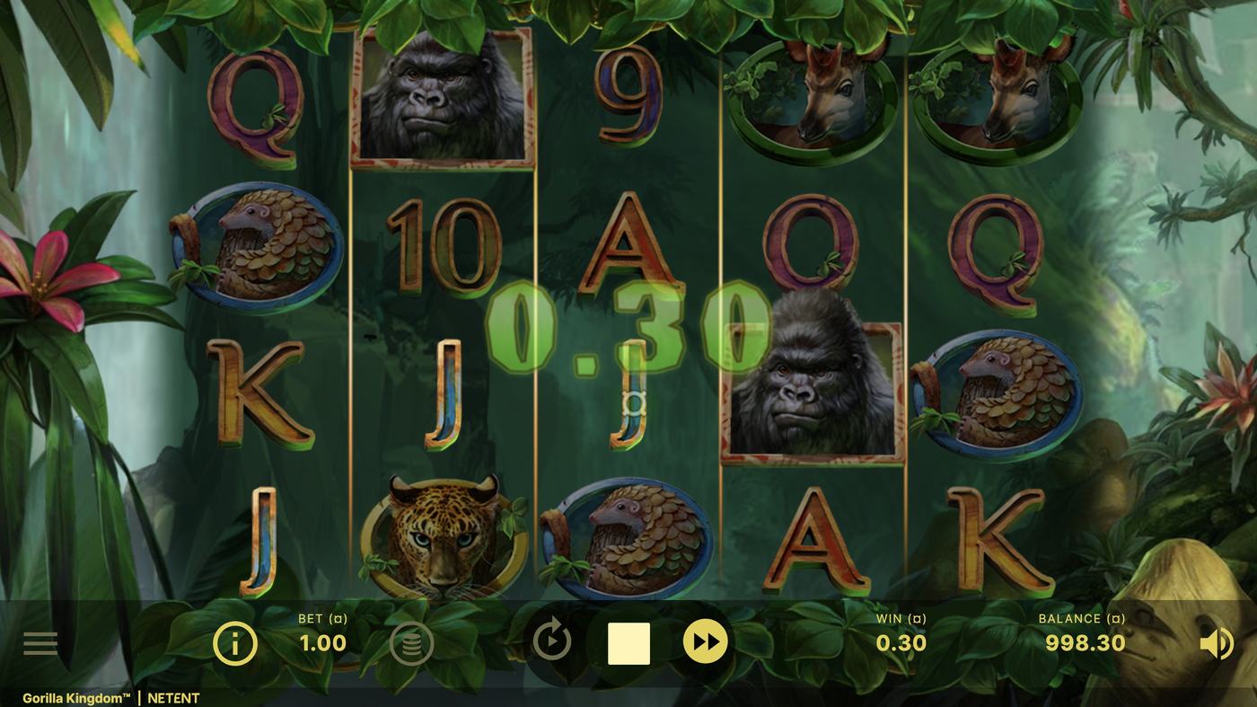 Gorilla Kingdom: image of winning