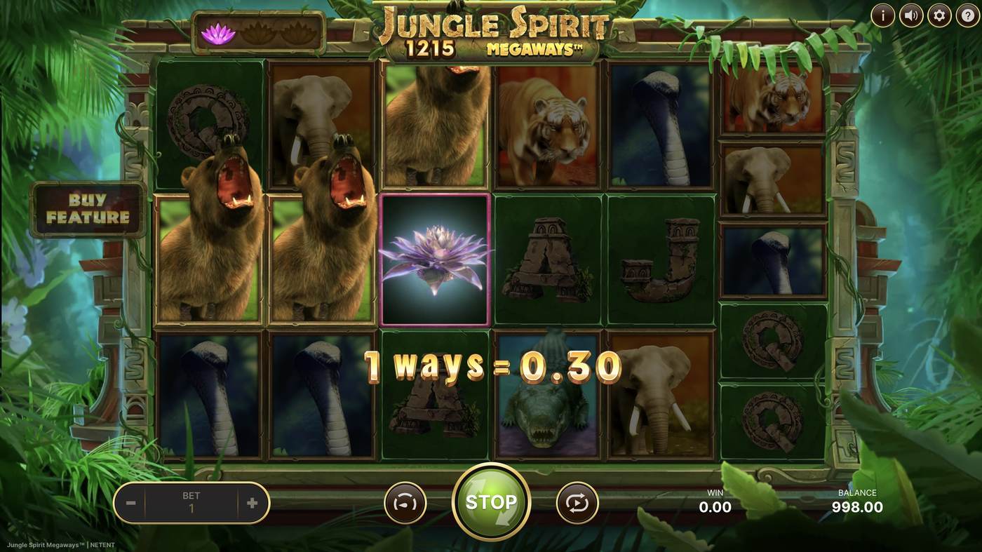 Jungle Spirit Megaways: image of winning