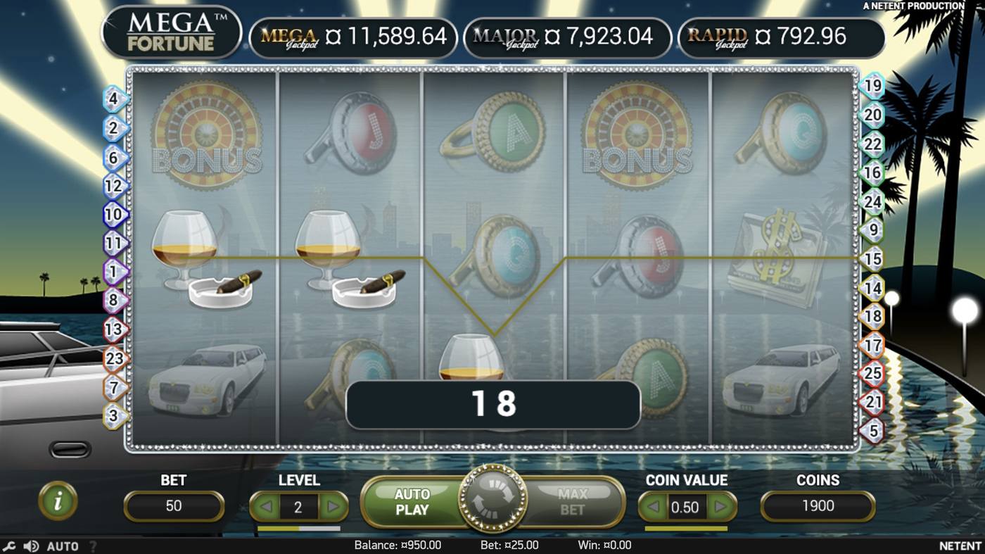Mega Fortune: image of winning