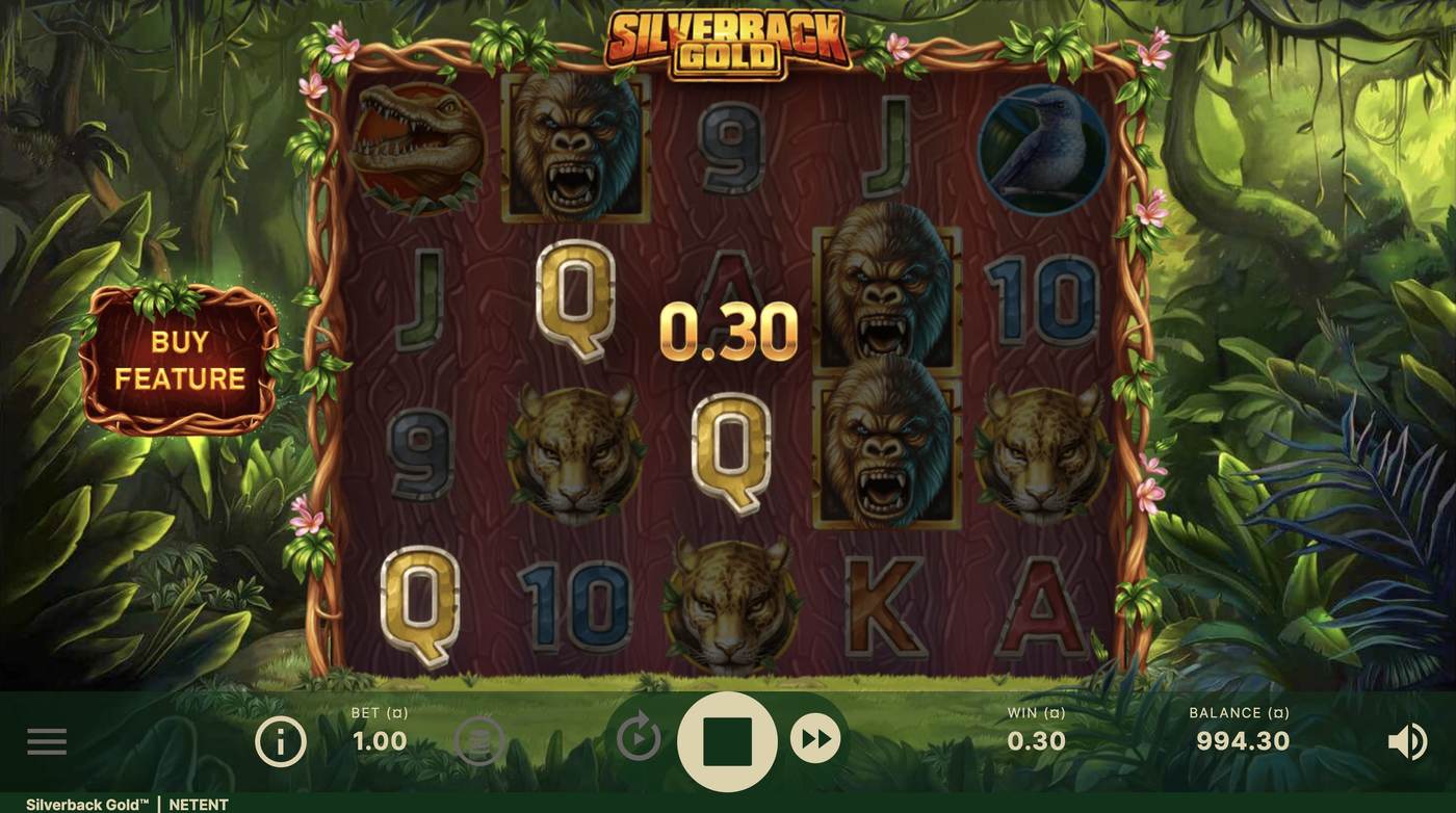 Silverback Gold: image of winning