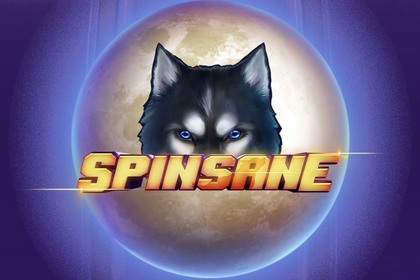Spinsane Online Slot Logo