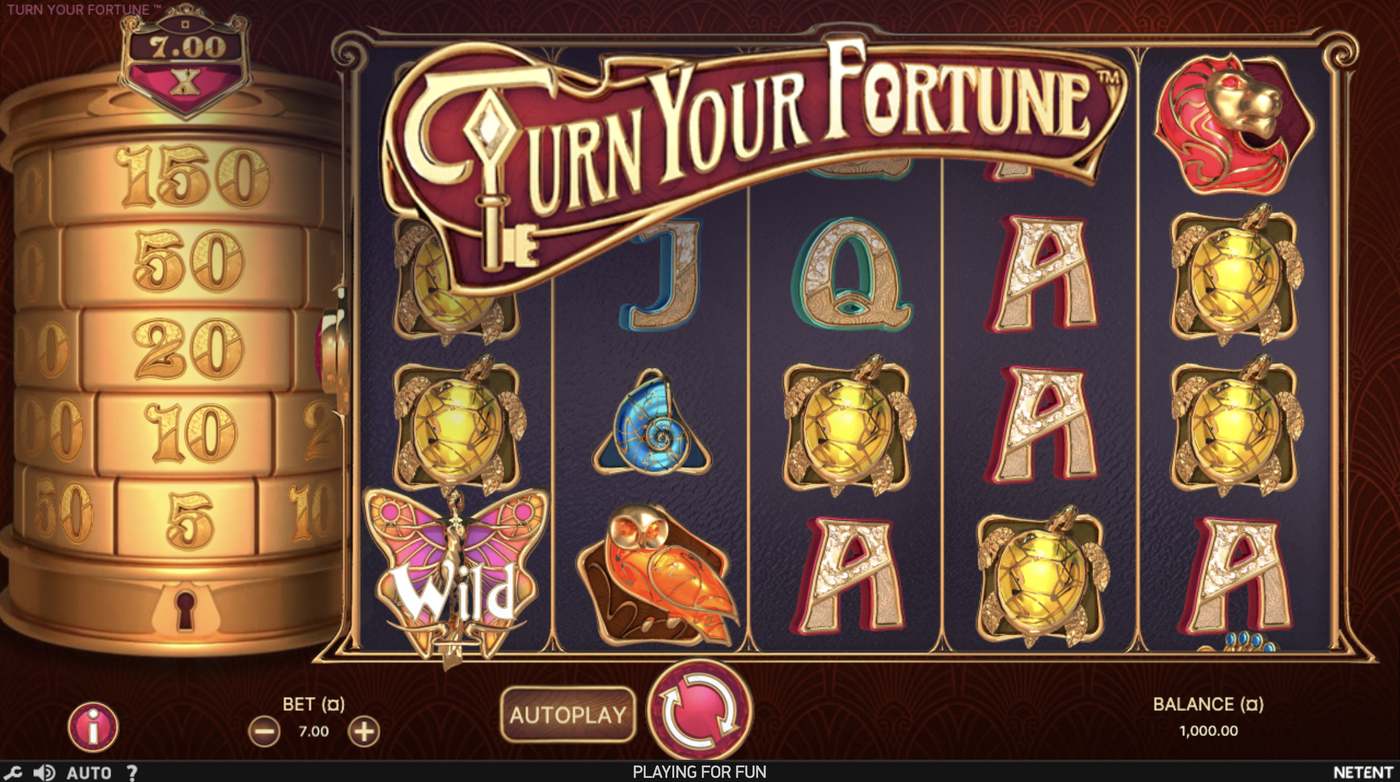 Turn Your Fortune: image of main menu