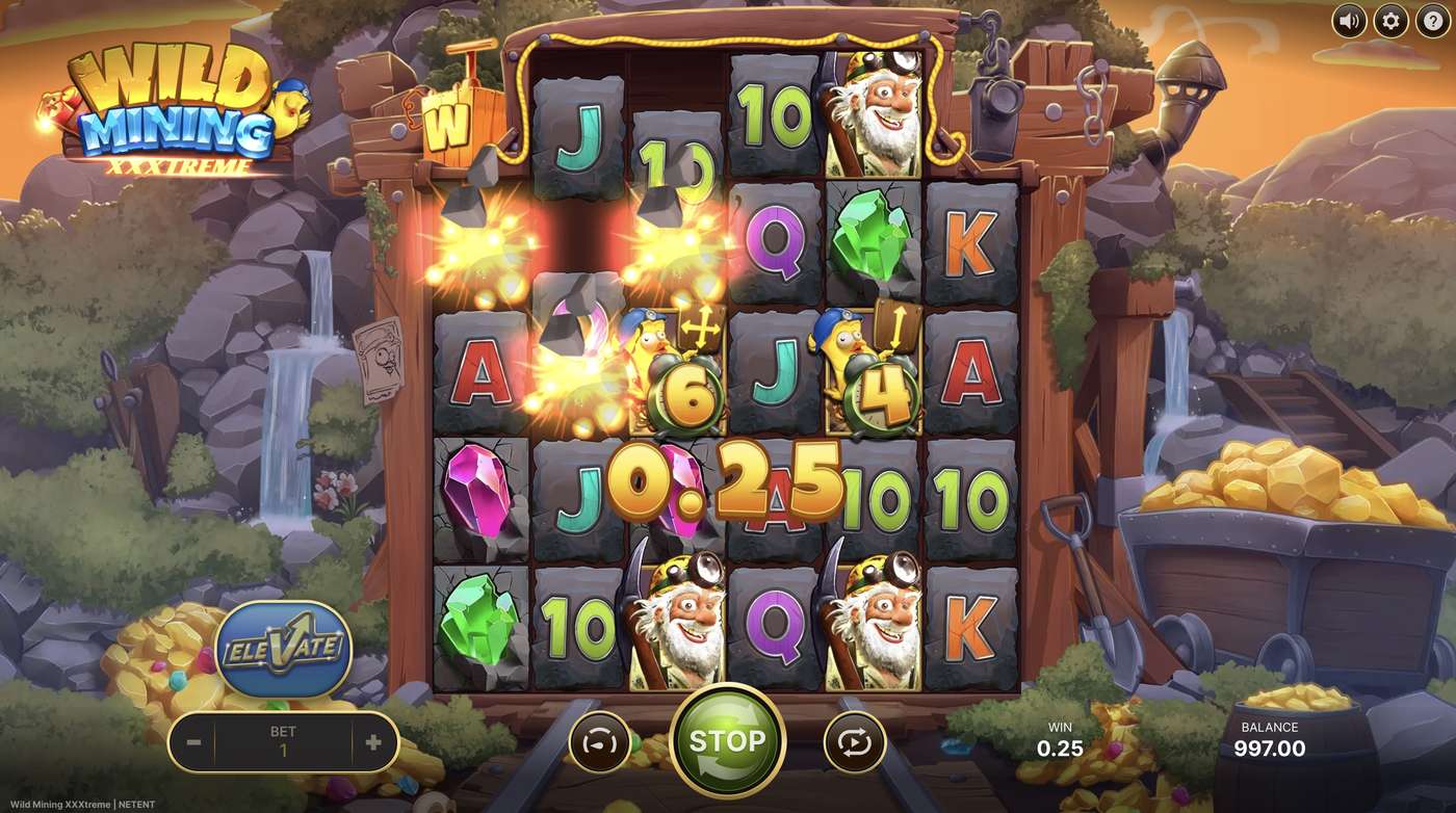 Wild Mining XXXtreme: image of winning