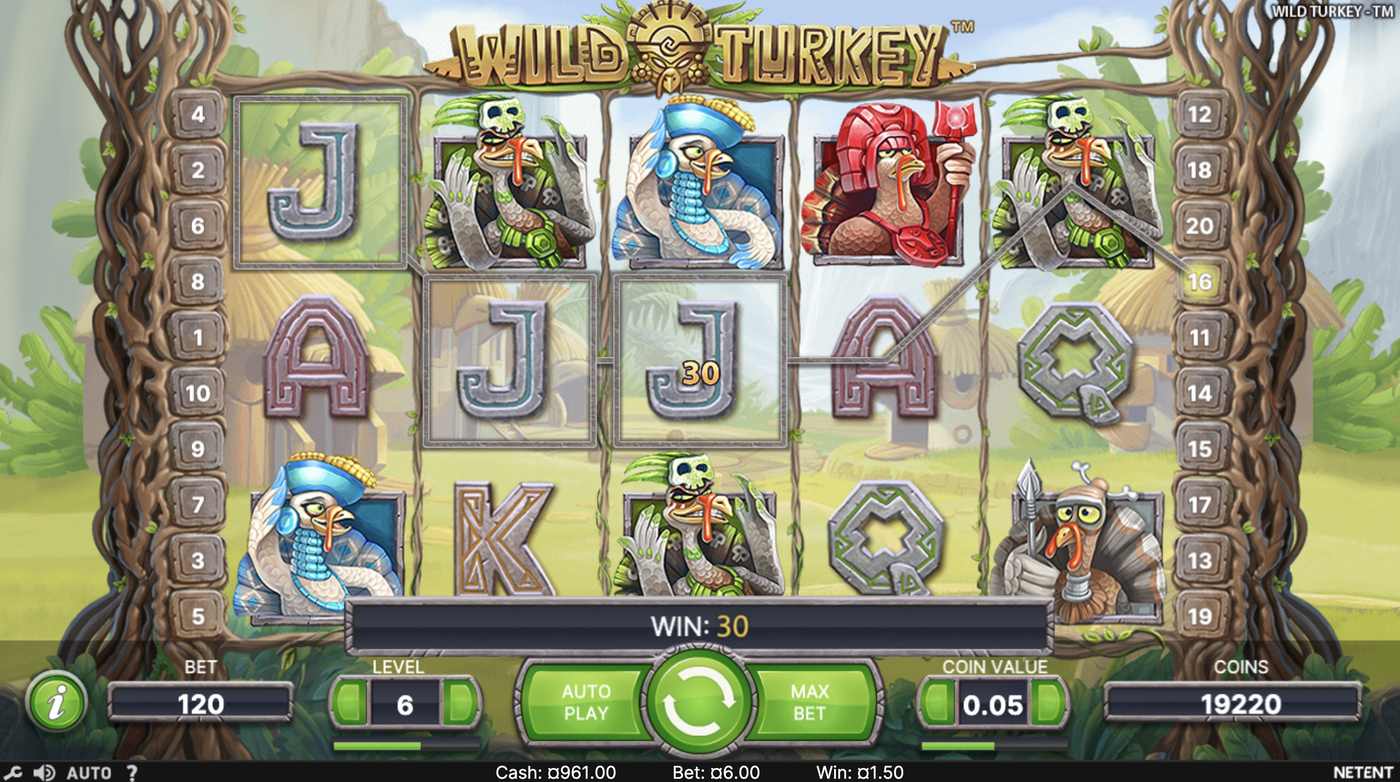 Wild Turkey: image of winning