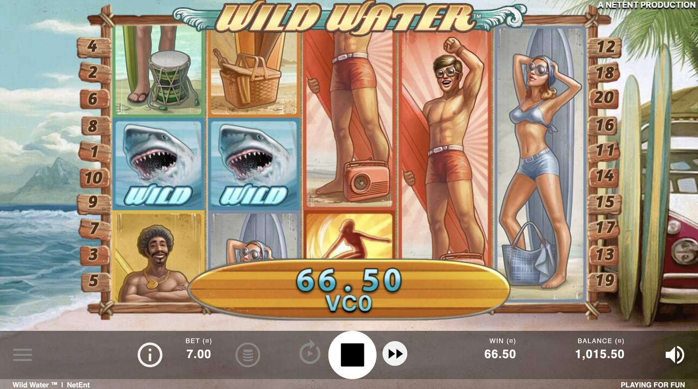 Wild Water: image of winning