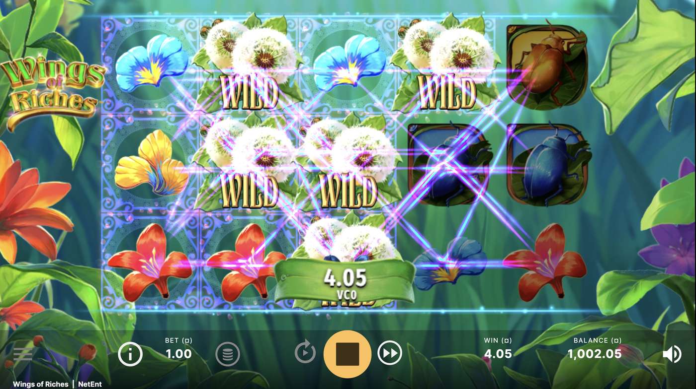 Wings of Riches: image of winning