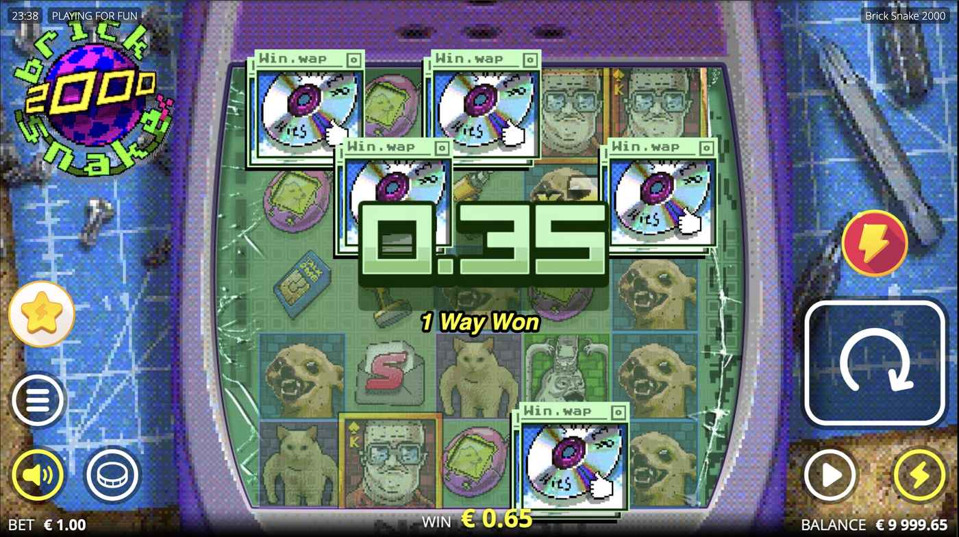 Brick Snake 2000: image of winning