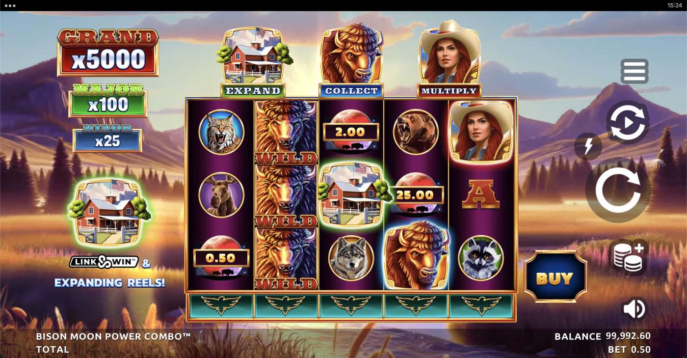 Bison Moon Power Combo: image of main menu