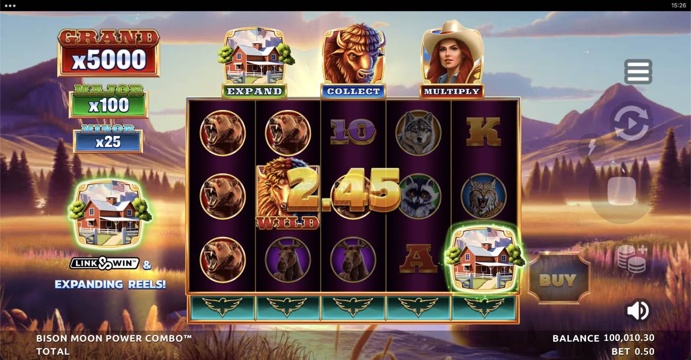 Bison Moon Power Combo: image of winning