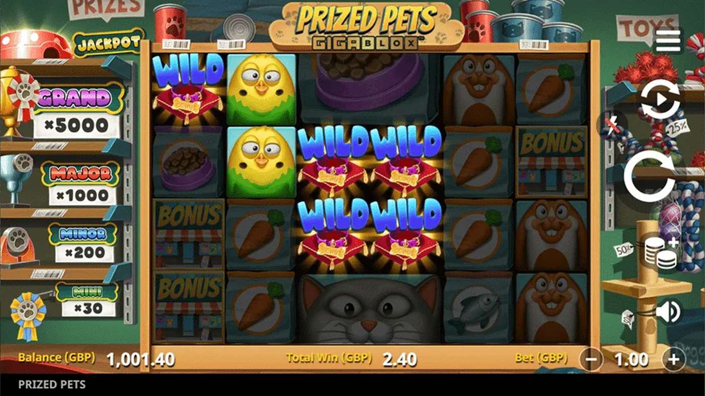 Prized Pets: image of winning