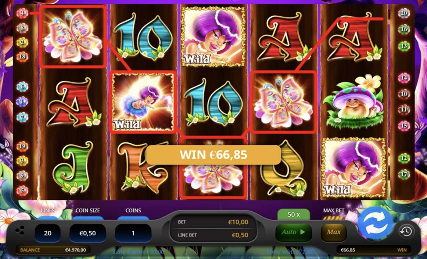 Fairytale Forest Quik: image of winning