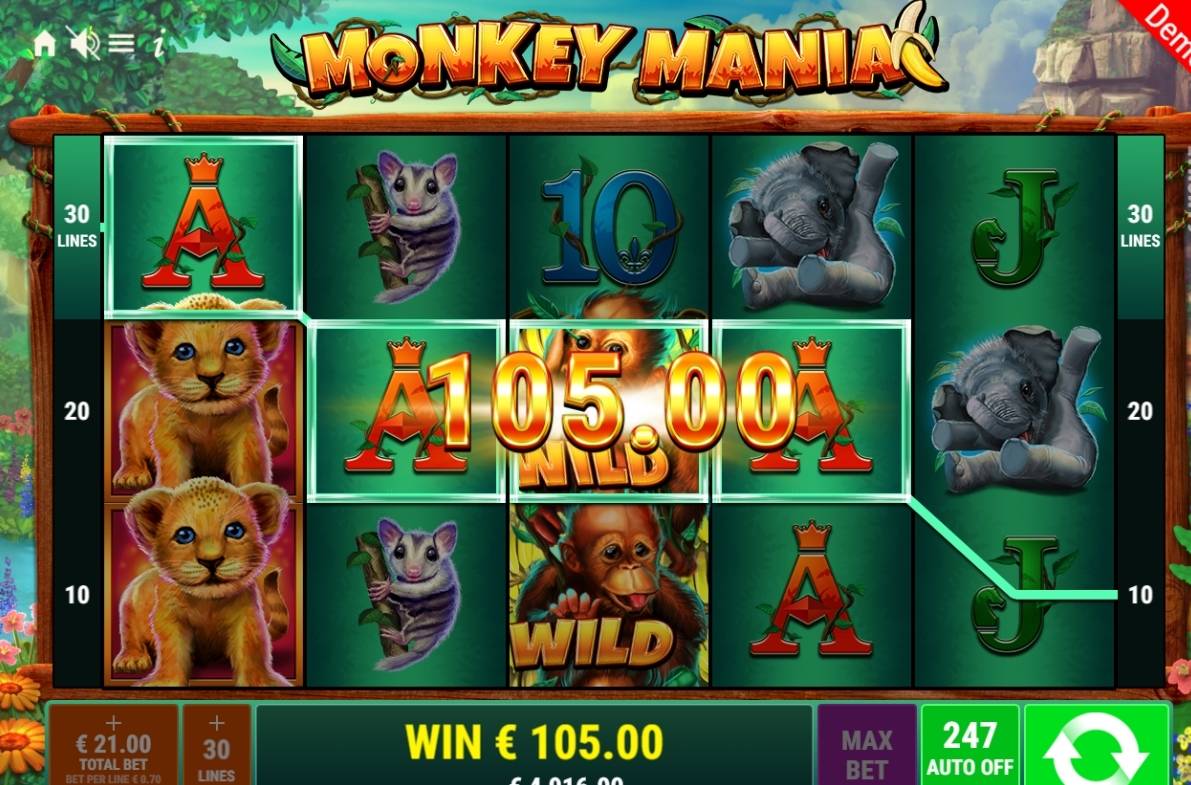 Monkey Mania: image of winning
