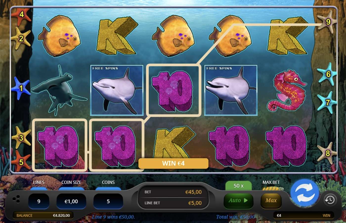 Wild Dolphins: image of winning