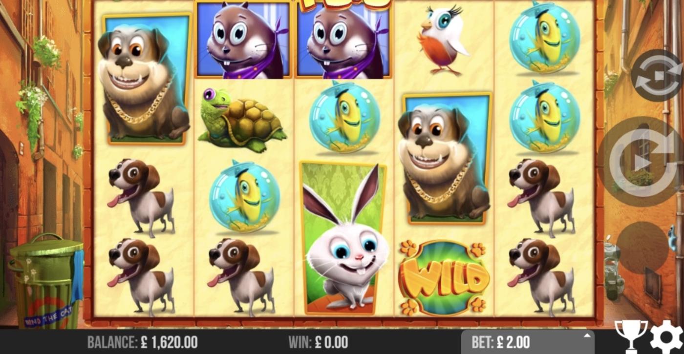 Pets: image of main menu