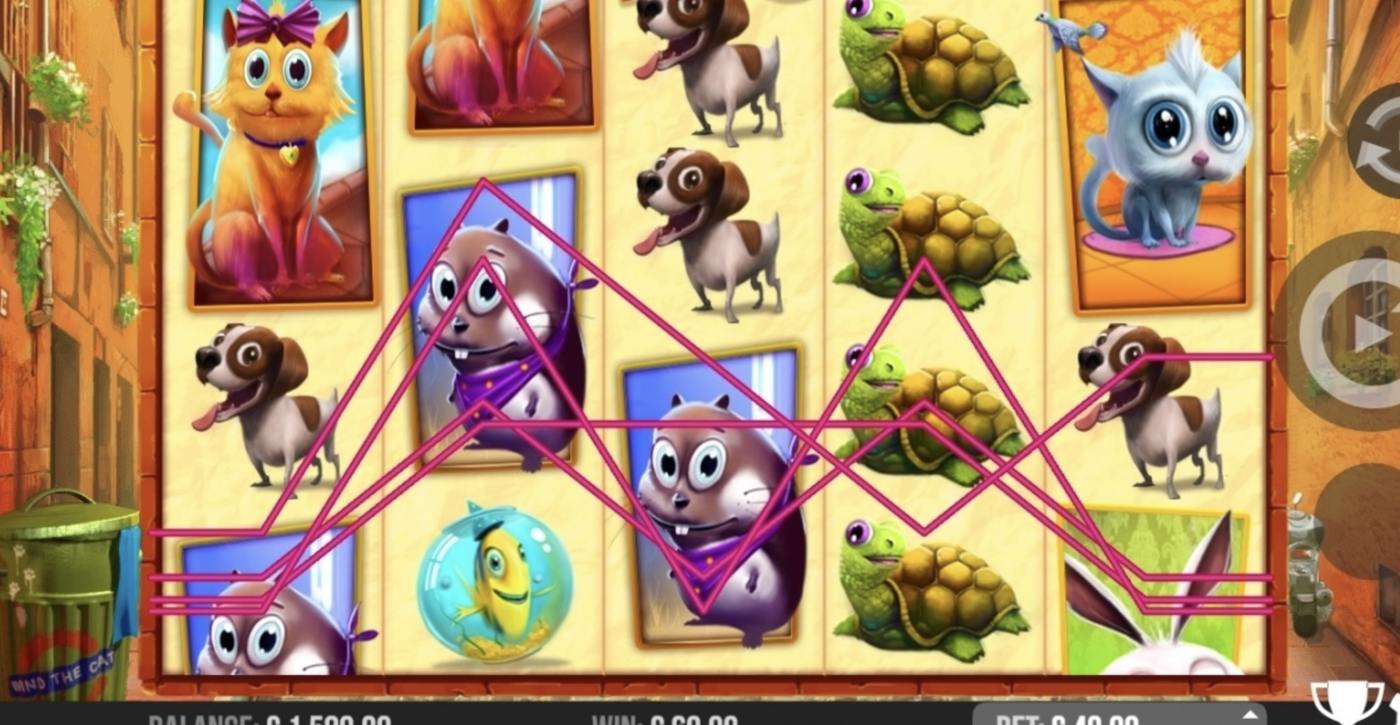 Pets: image of winning