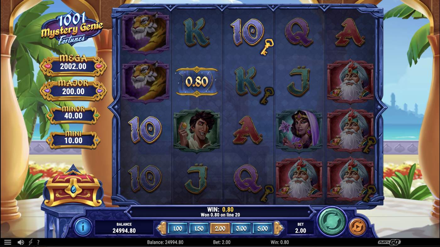 1001 Mystery Genie Fortunes: image of winning
