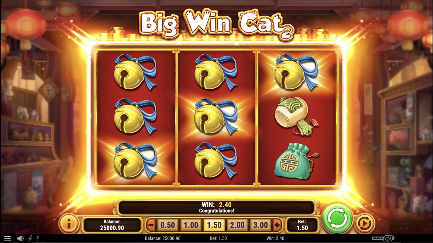 Big Win Cat: image of winning