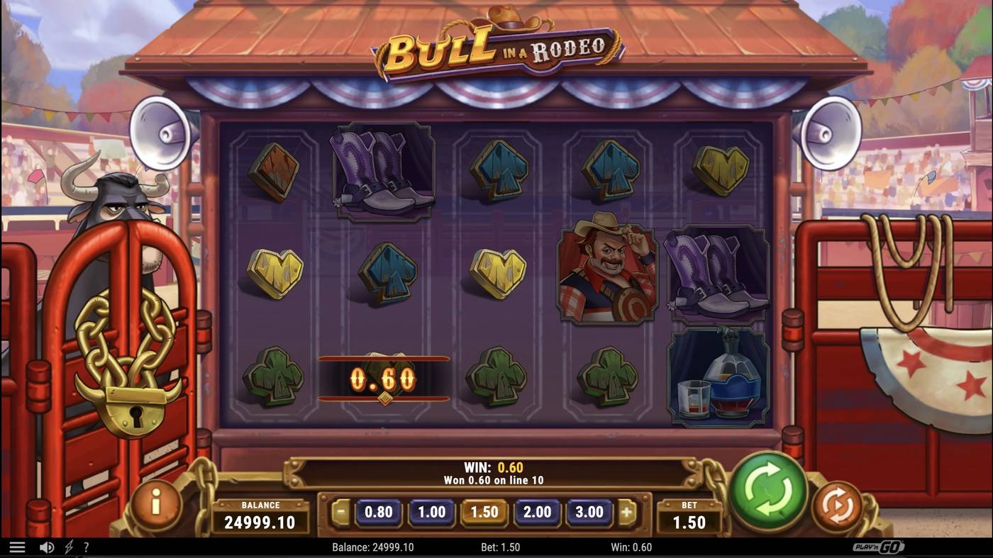 Bull in a Rodeo: image of winning