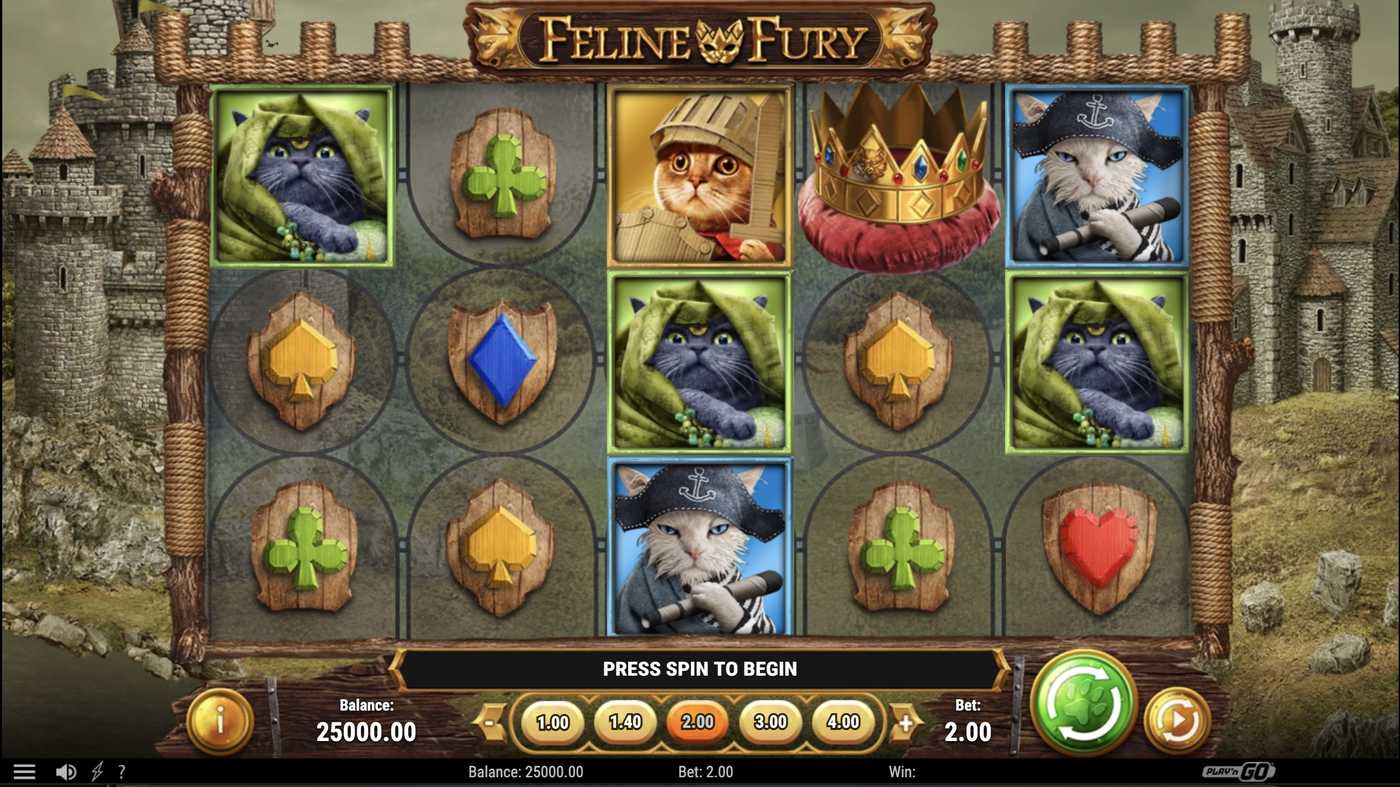 Feline Fury: image of main menu