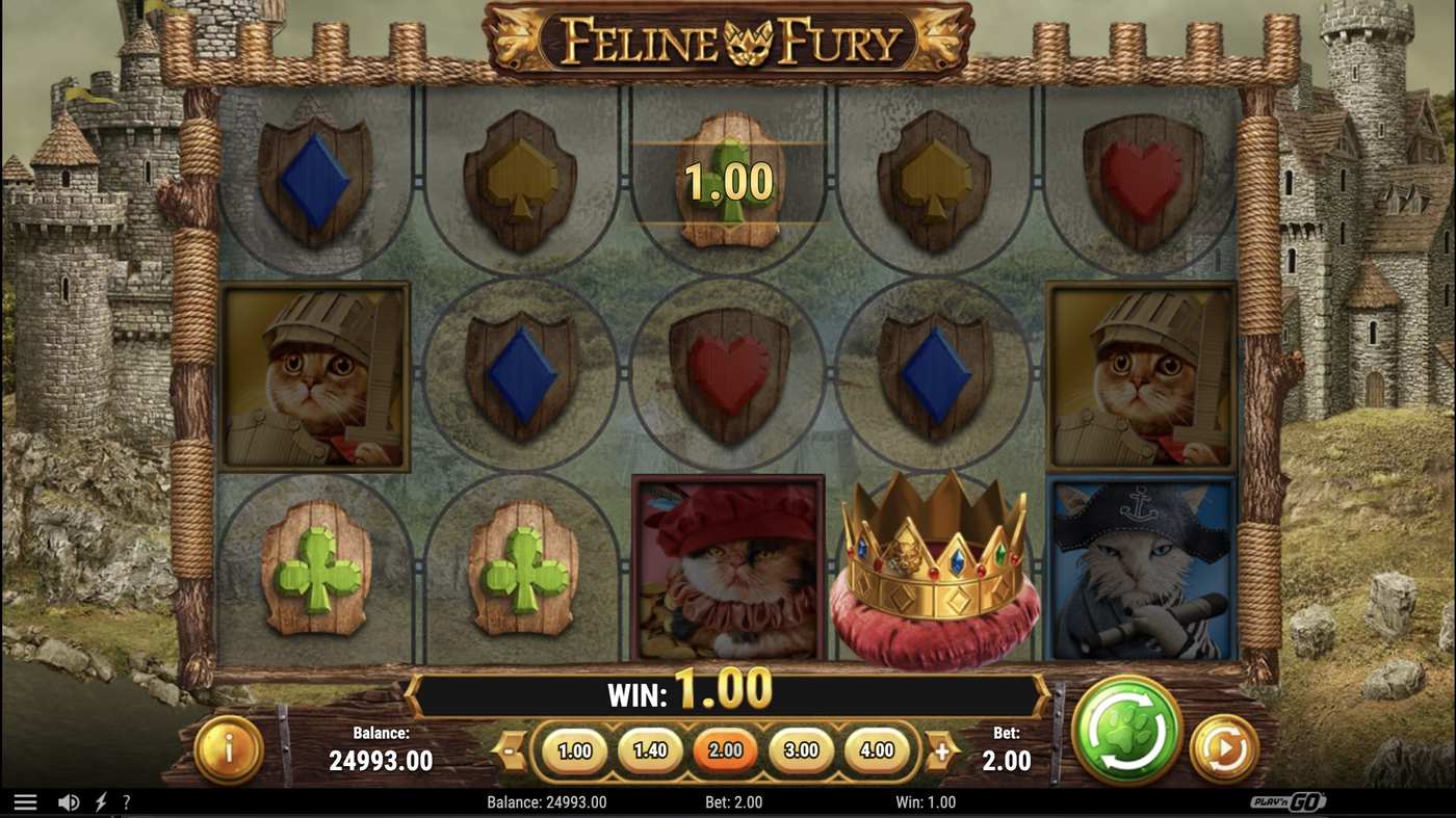 Feline Fury: image of winning