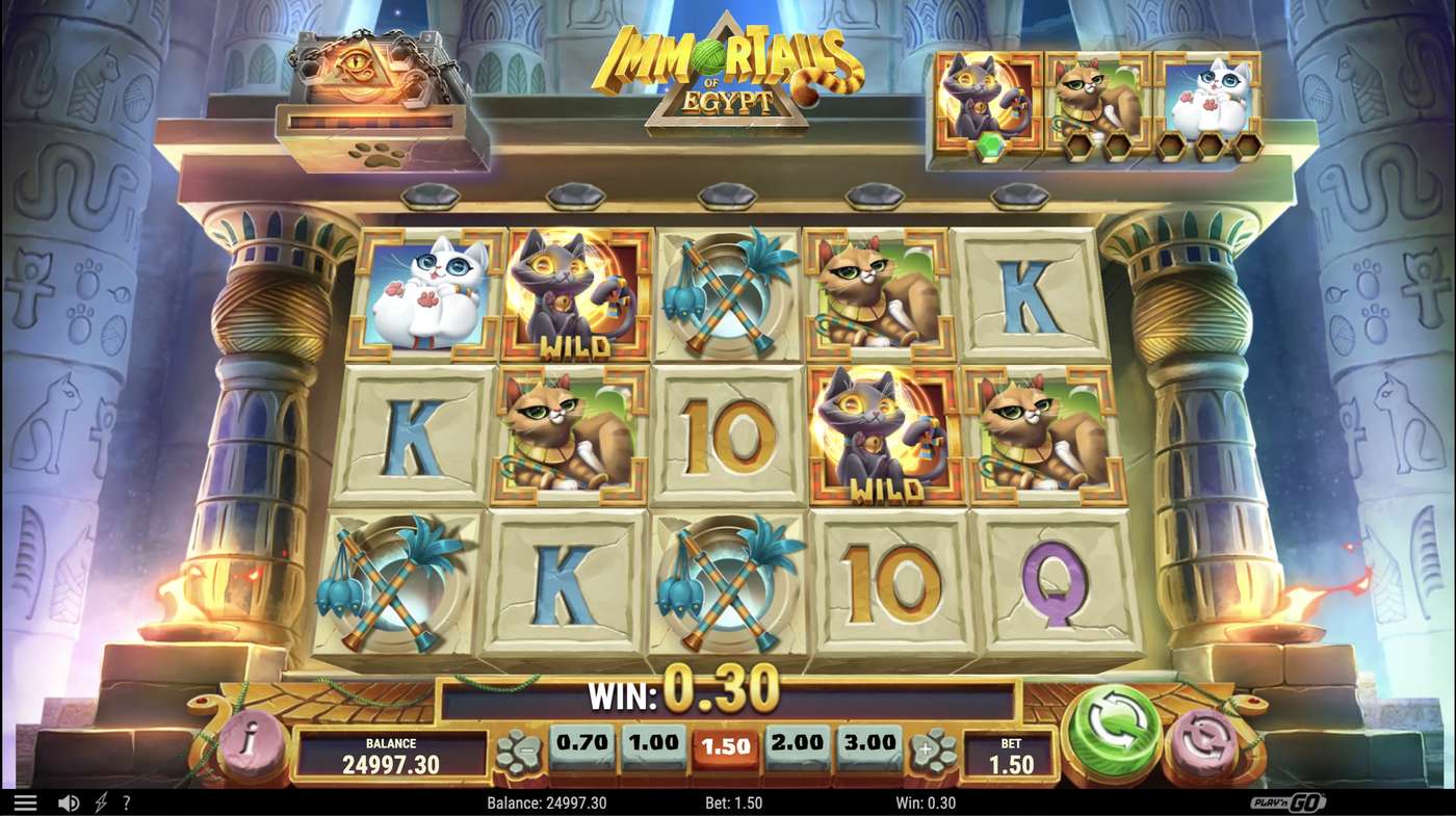 ImmorTails of Egypt: image of winning
