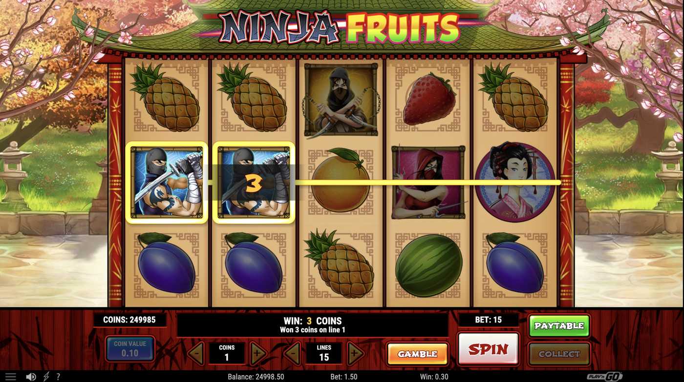 Ninja Fruits: image of winning