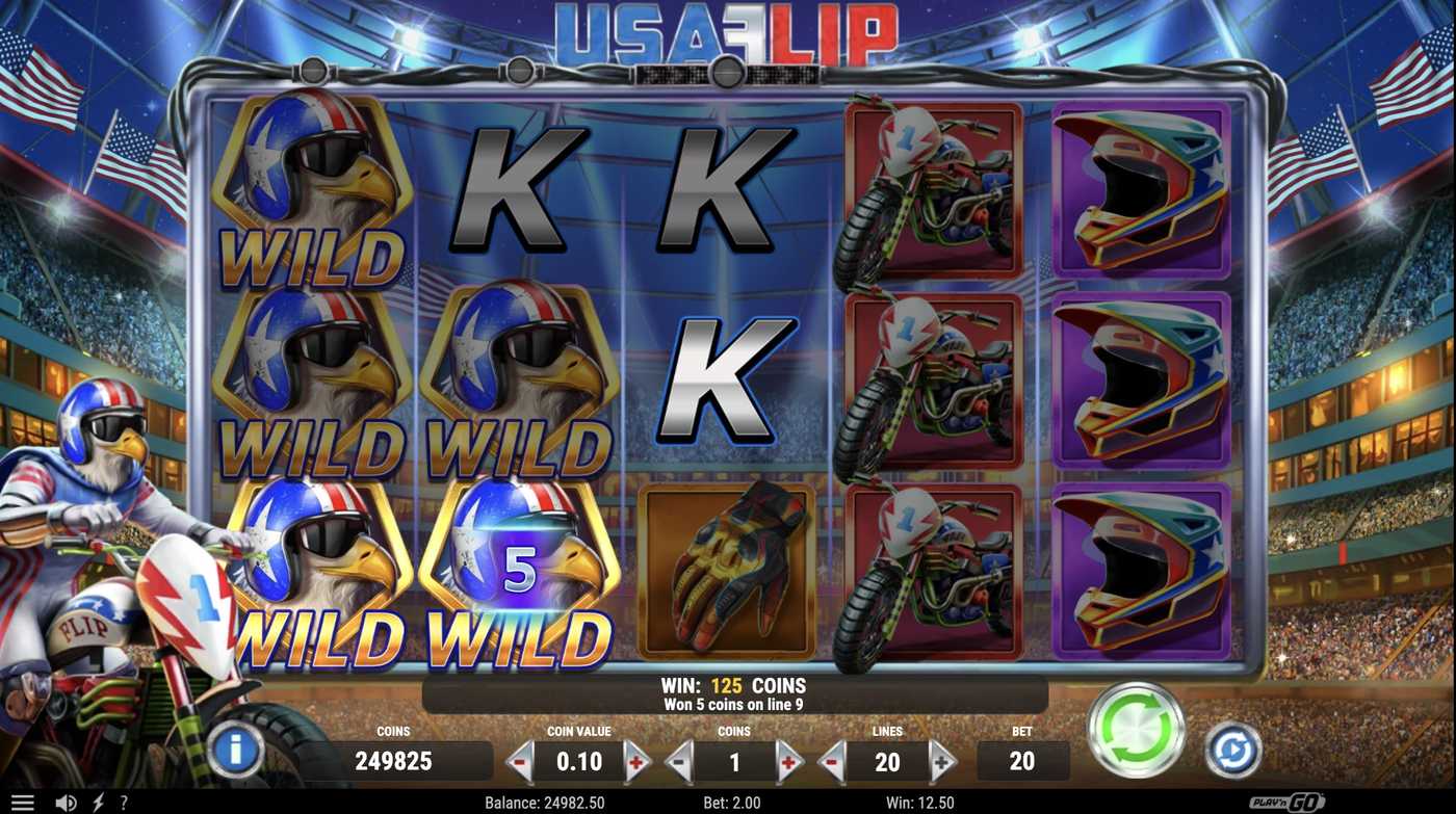 USA Flip: image of winning
