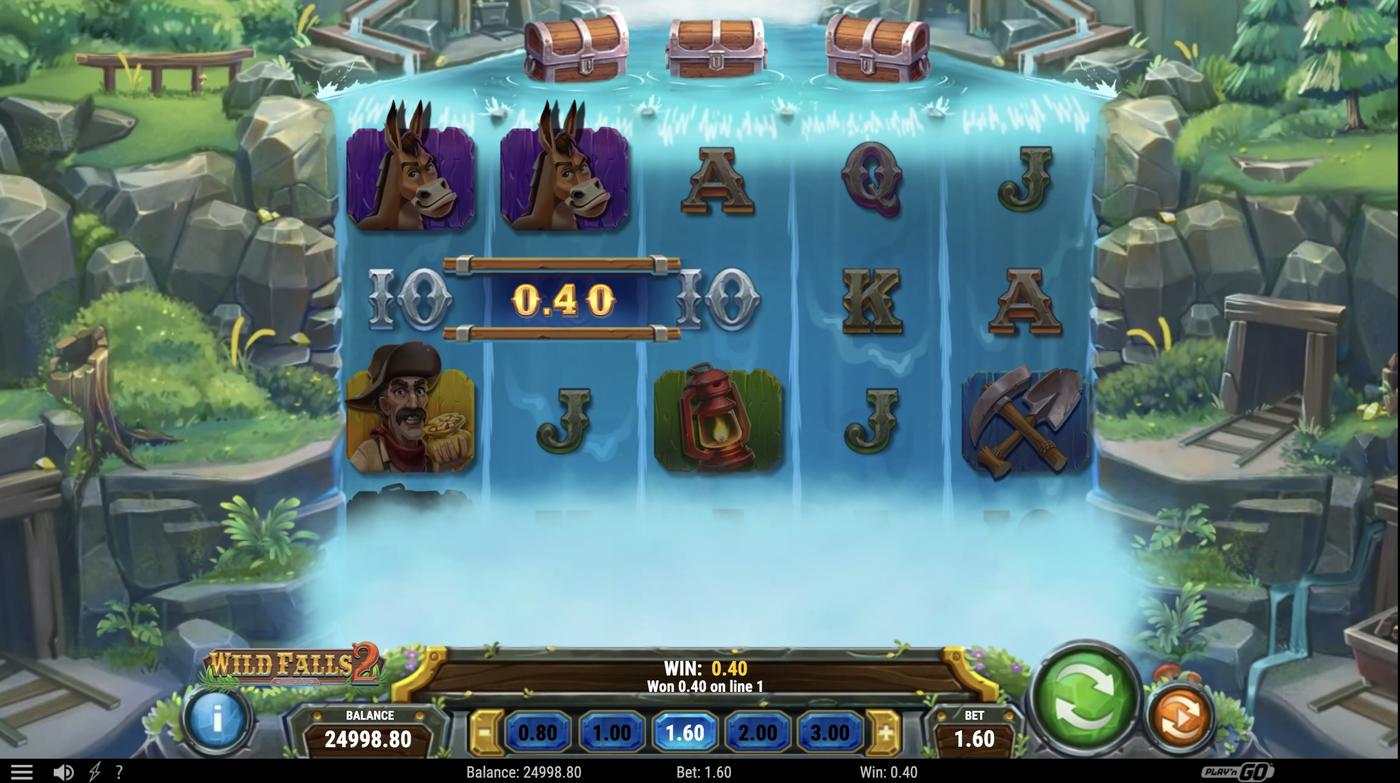 Wild Falls 2: image of winning