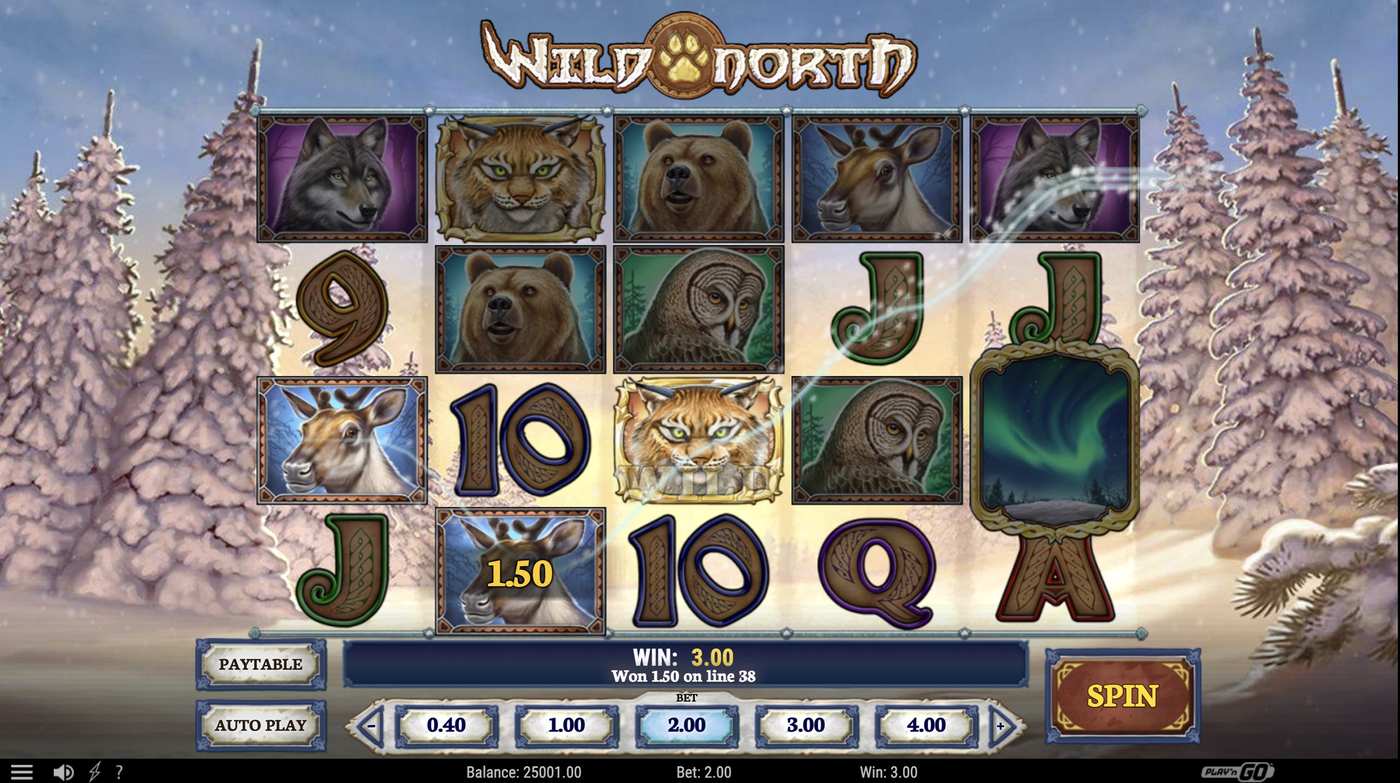 Wild North: image of winning