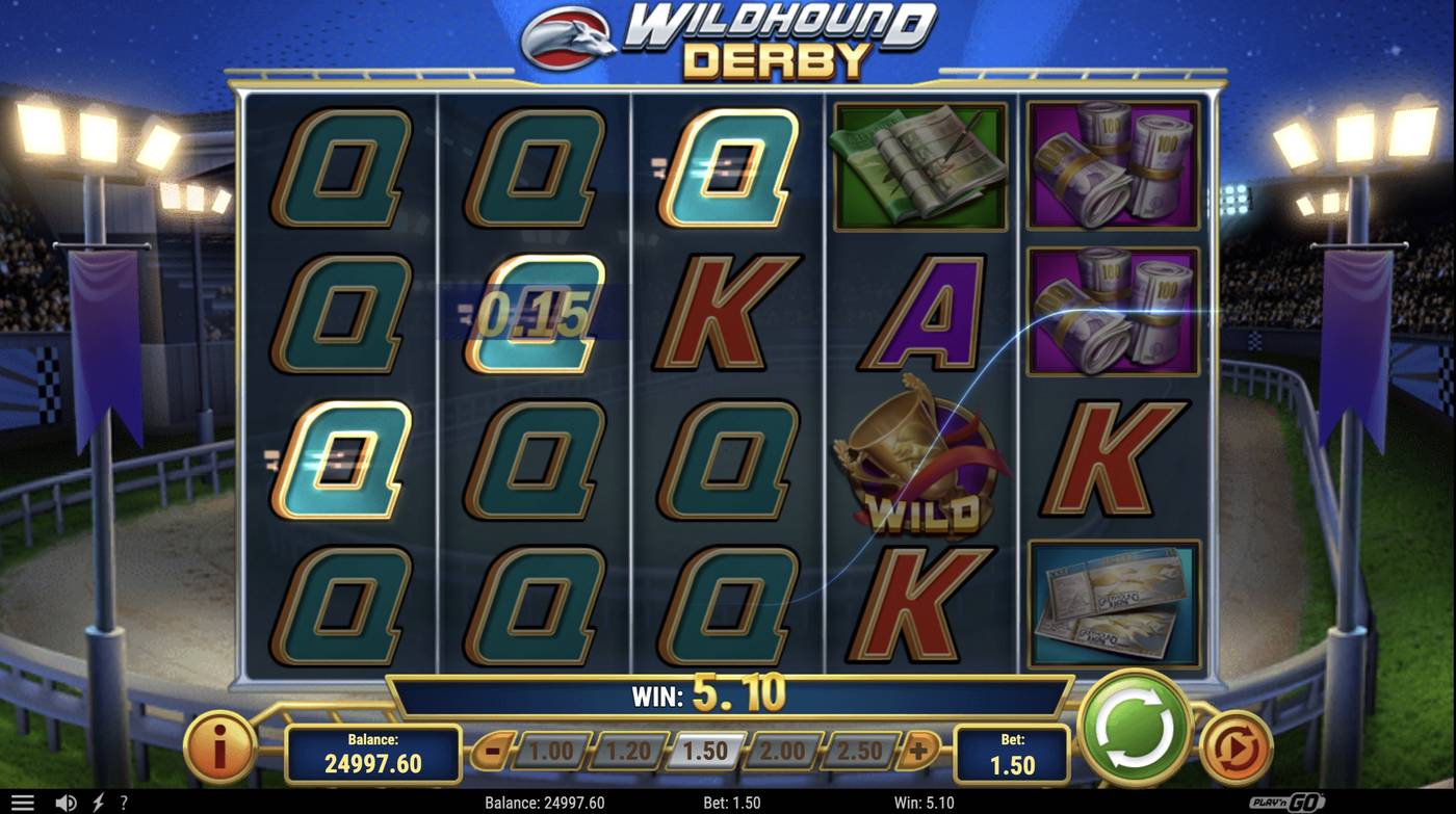 Wildhound Derby: image of winning