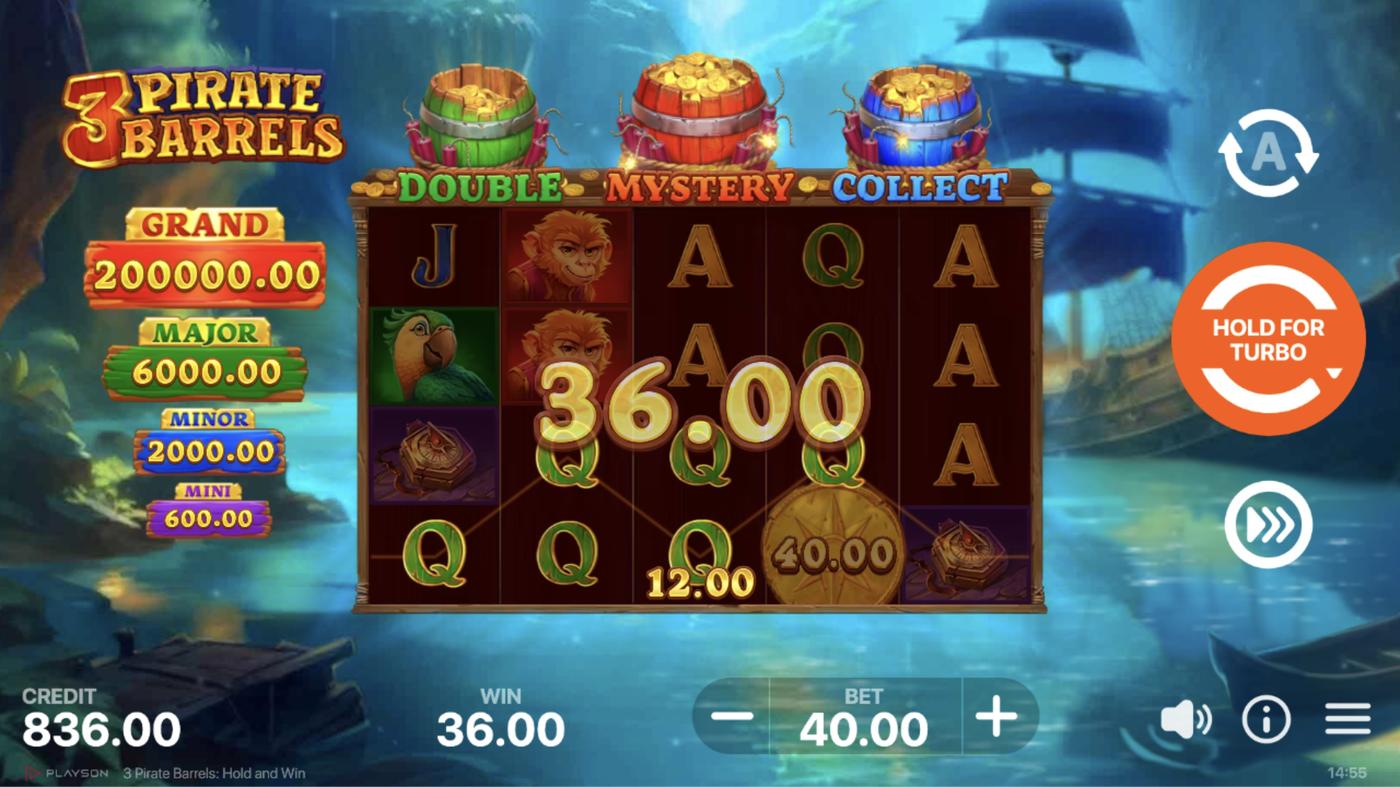 3 Pirate Barrels: Hold and Win: image of winning