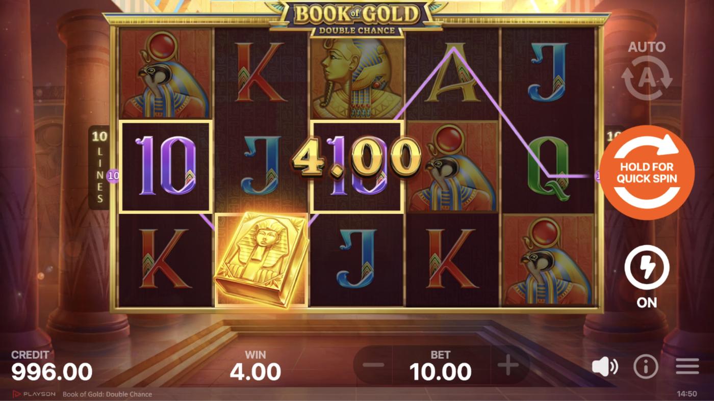 Book of Gold: Double Chance: image of winning