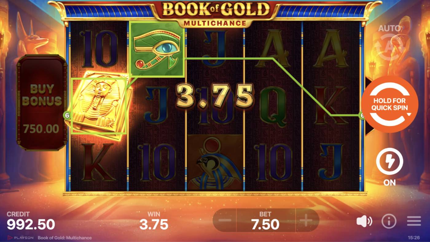 Book of Gold: Multichance: image of winning