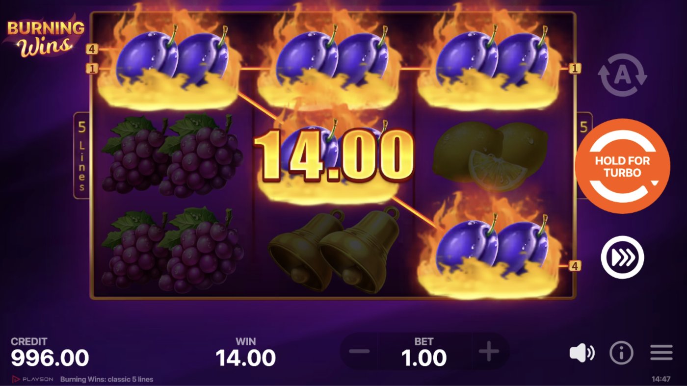 Burning Wins: classic 5 lines: image of winning