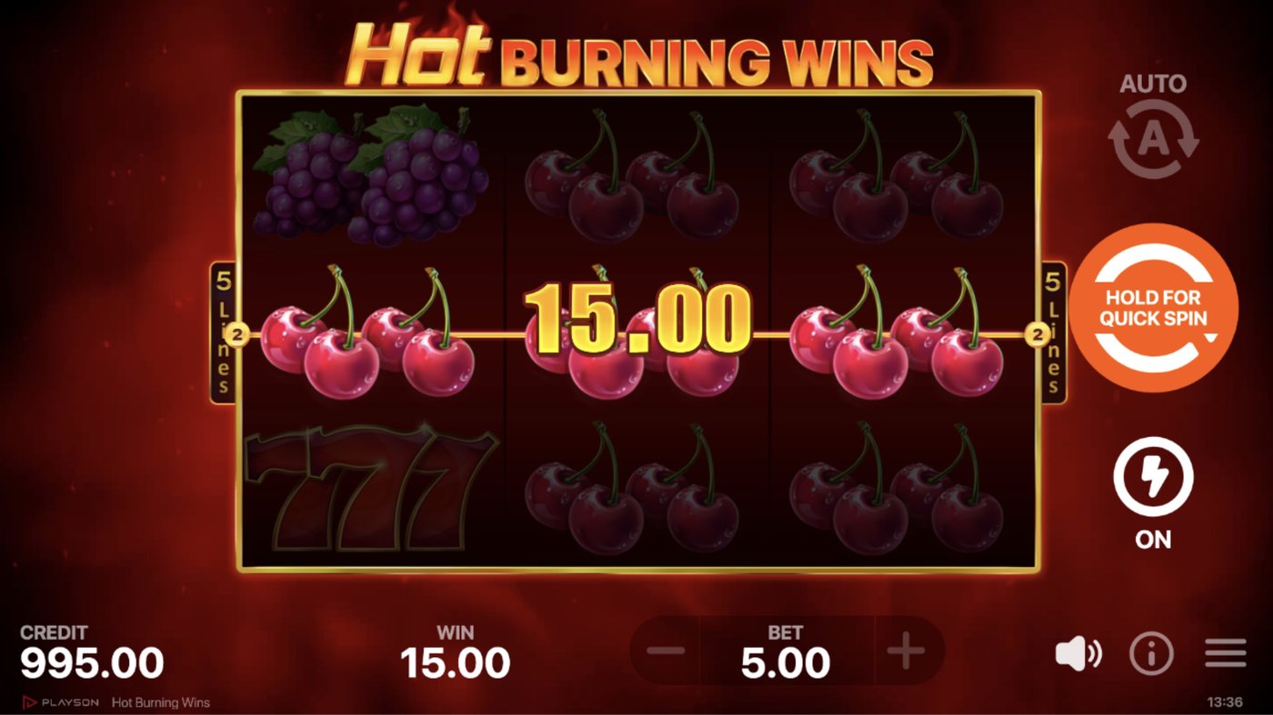 Hot Burning Wins: image of winning