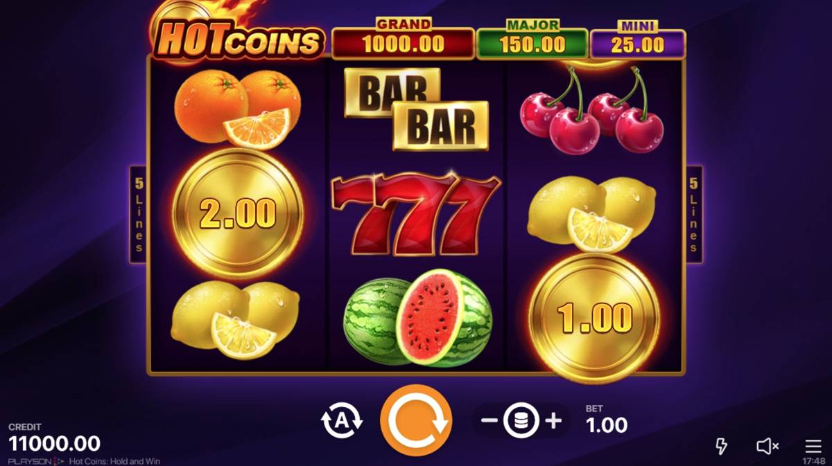 Hot Coins Hold and Win: image of main menu