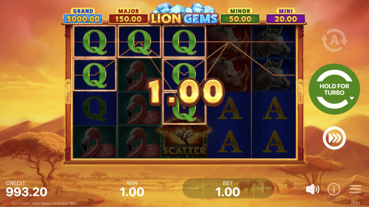 Lion Gems: Hold and Win: image of winning