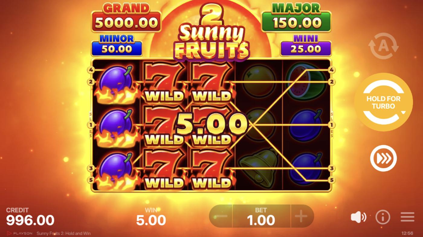 Sunny Fruits 2: Hold and Win: image of winning