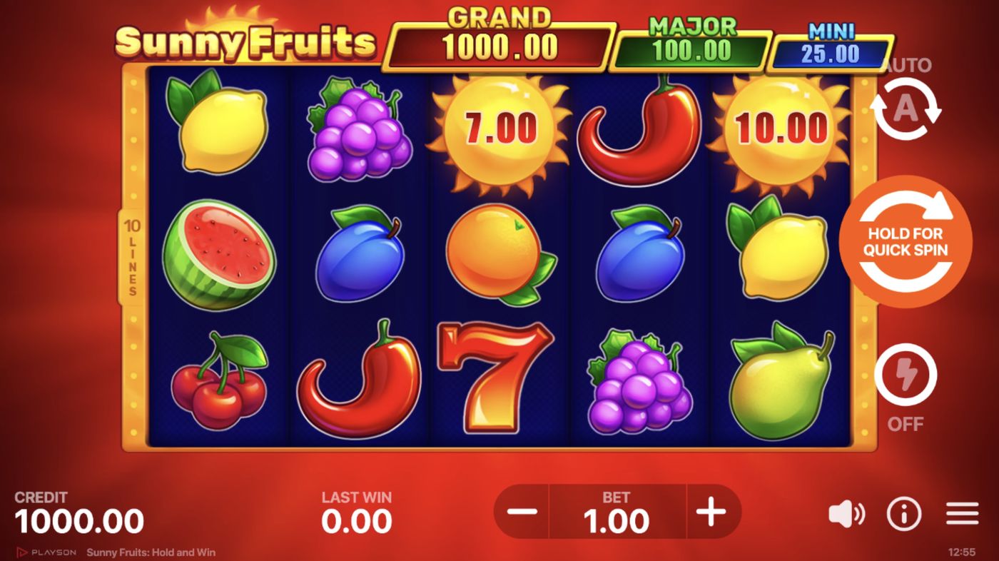Sunny Fruits: Hold and Win: image of main menu