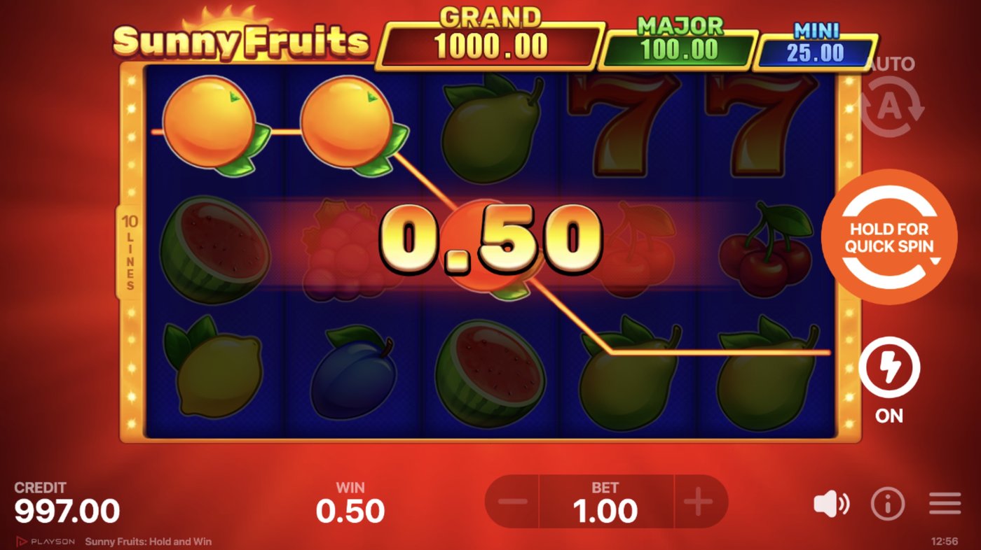 Sunny Fruits: Hold and Win: image of winning