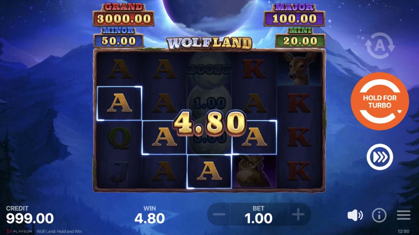 Wolf Land: Hold and Win: image of winning