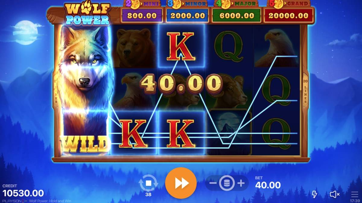 Wolf Power Hold and Win: image of winning