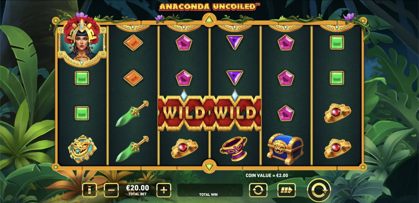 Anaconda Uncoiled: image of main menu