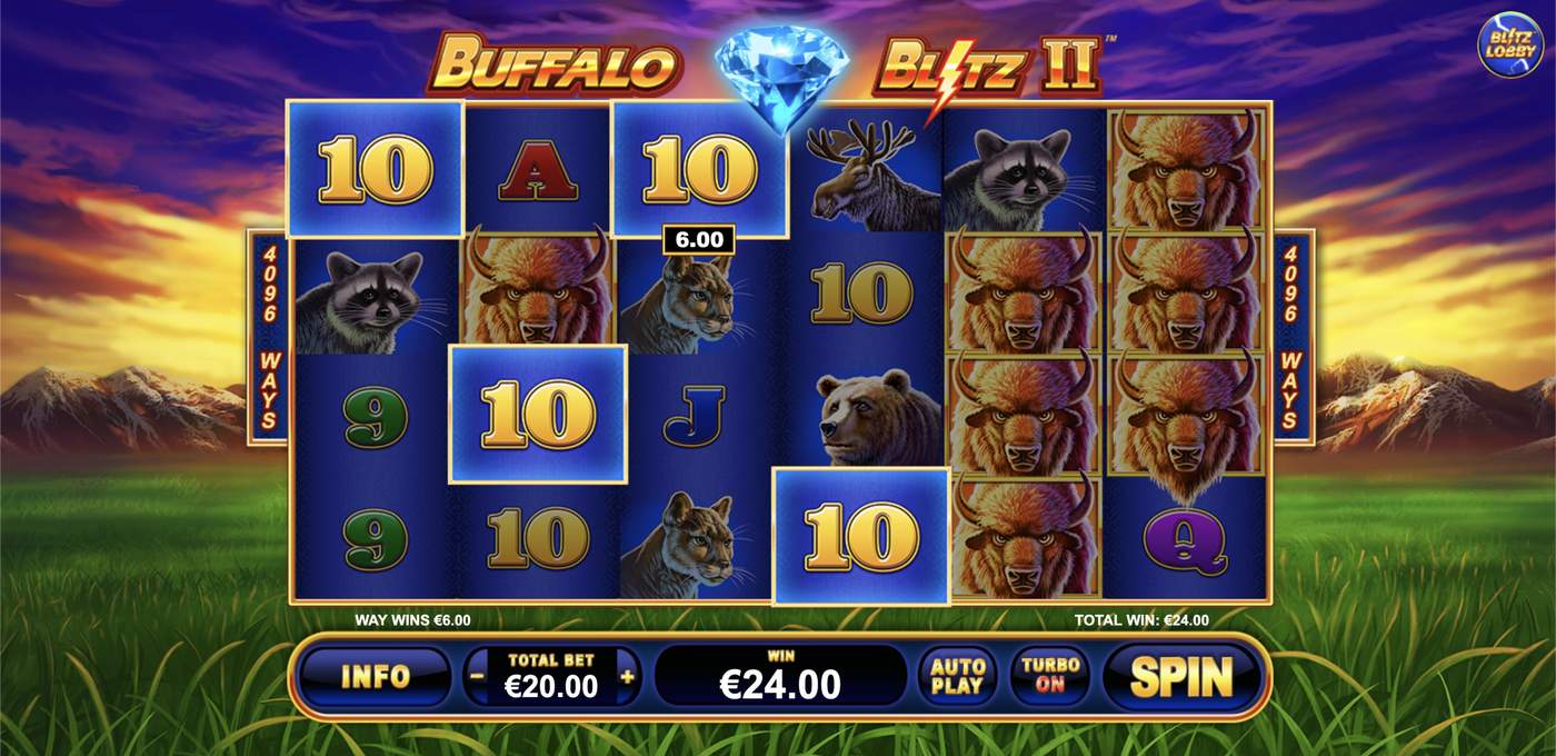 Buffalo Blitz 2: image of winning