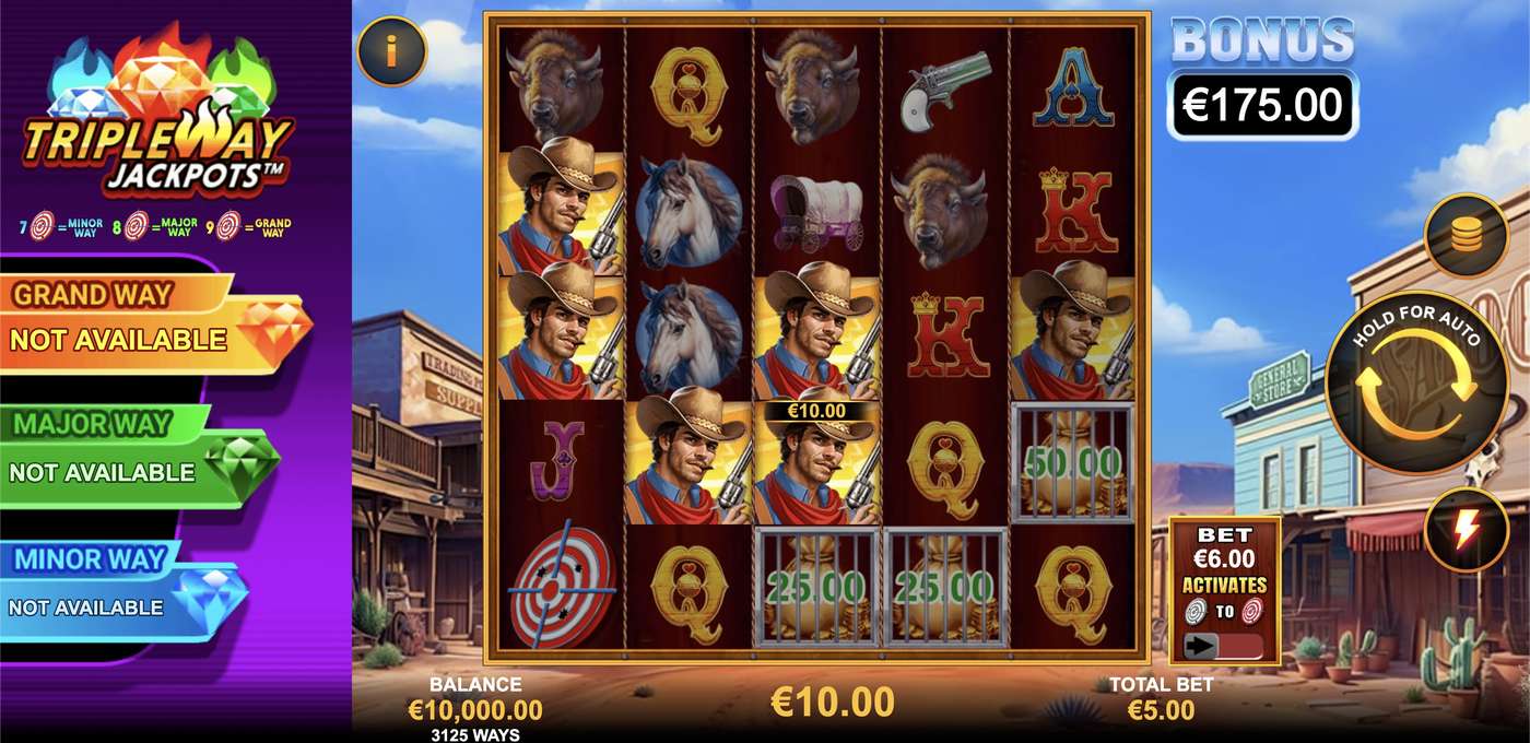 Bulls Eye Bandits: image of winning