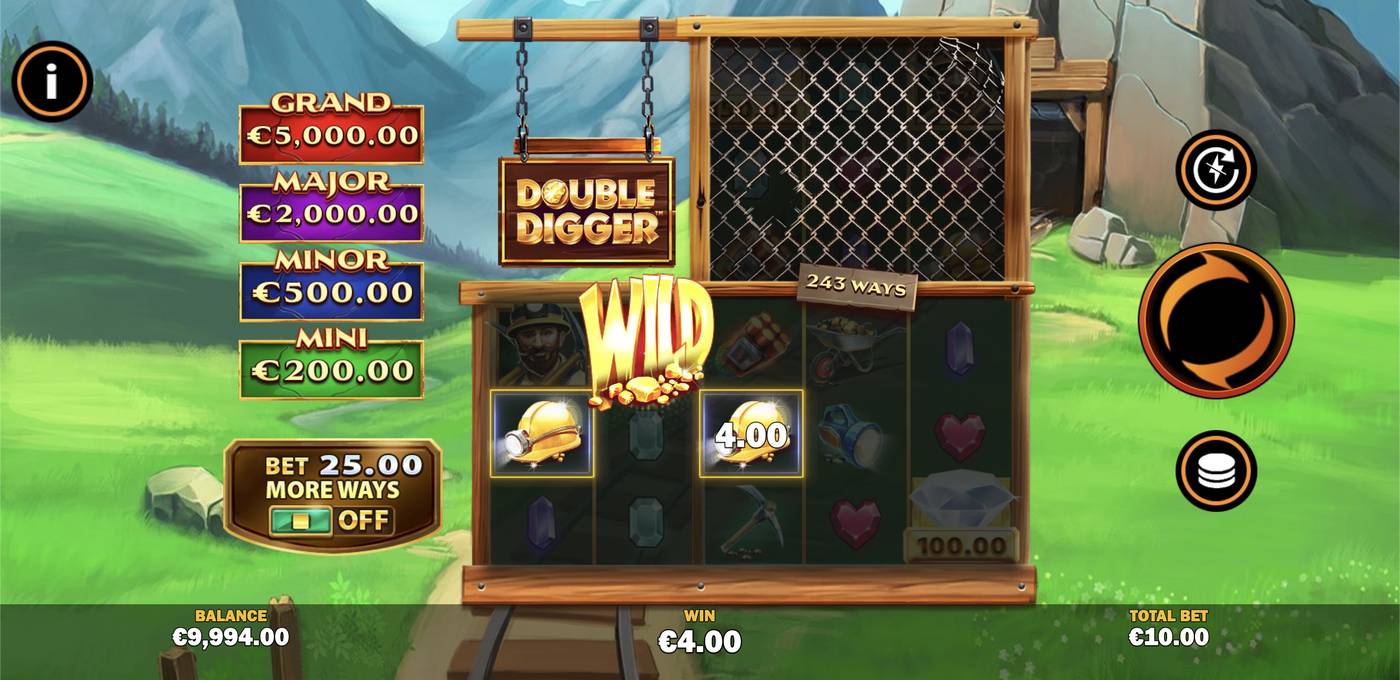 Double Digger: image of winning