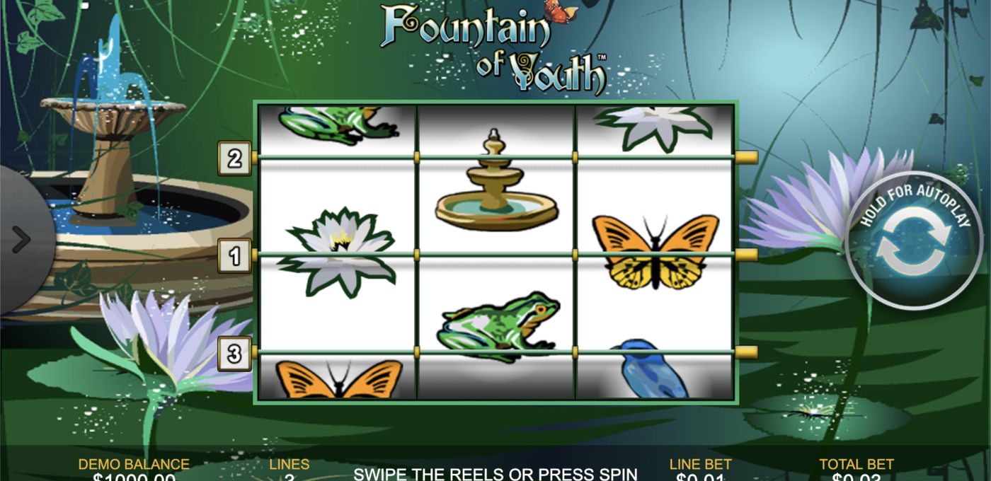 Fountain of Youth: image of main menu