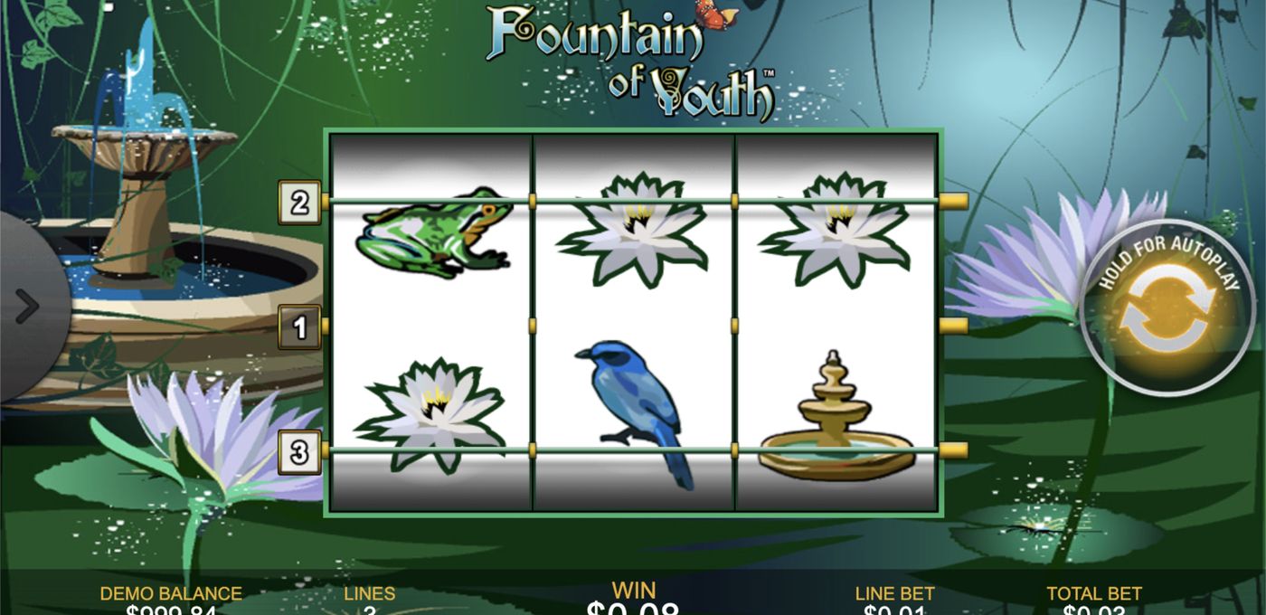 Fountain of Youth: image of winning