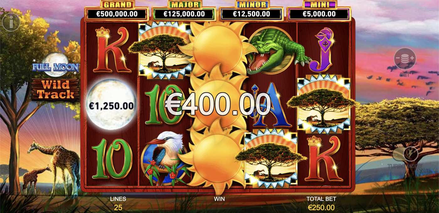Full Moon: Wild Track: image of winning