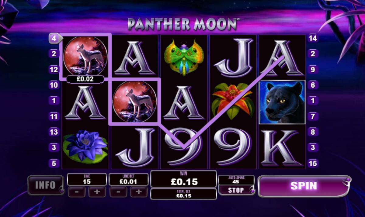 Panther Moon: image of winning